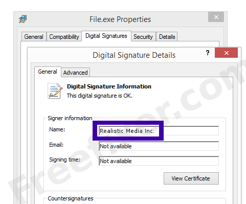 Screenshot of the Realistic Media Inc. certificate